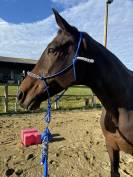 Cheval