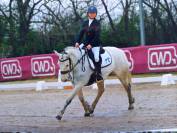 Poney de sport/famille 