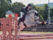 Poney de sport/famille 