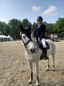 Poney de sport/famille 