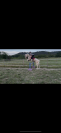 Cheval onc espagnol