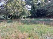 Enclos bâti avec environ 11ha10 de foncier bien groupé