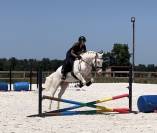 Super hongre de 4ans 
