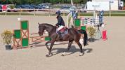 cheval de famille