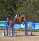 Hongre 10 ans Sport