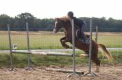 PONEY A CONFIER