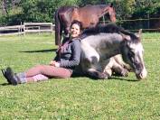 Superbe cheval 9 ans