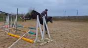 Ponette Connemara 4 ans 