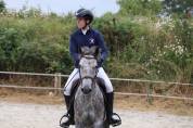 Poney Connemara 6 ans 