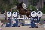 JUMENT A PODIUM 