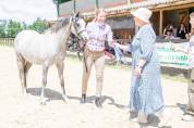 Merrie Welsh Pony (Section B) Te koop 2020 Schimmel ,  Adagio de l'Aurore