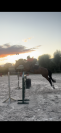 Top jument pour concours amateurs