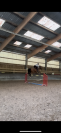 Top jument pour concours amateurs