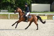 5 ans hongre WBP