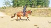 5 ans hongre WBP