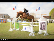 Hongre de un an par Hurricane de Champloue