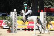 Pony esperto e competitivo in completo e salto ostacoli
