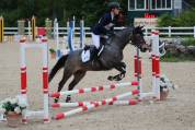 Pony esperto e competitivo in completo e salto ostacoli
