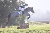 Pony esperto e competitivo in completo e salto ostacoli