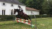 Bonita residencia ecuestre En venta Charente