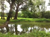 Bonita residencia ecuestre En venta Charente