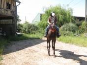 cheval de loisir