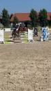 Pony pezzato 