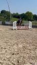 Pony pezzato 