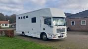 Camion per Cavalli Man MAN 0 Occasione