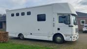Camion per Cavalli Man MAN 0 Occasione