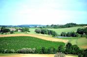Exploitation agricole irriguée Noisettes/Céréales 91 ha en c