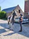 Petit cheval 3 ans 