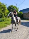Petit cheval 3 ans 