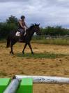 Ponette 1m46 4 ans 