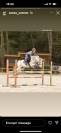Caballo castrado Connemara En venta 2011 Tordo por GURTEEN PRINCE
