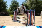 Caballo castrado Connemara En venta 2011 Tordo por GURTEEN PRINCE