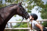 Magnifique Hongre Pure Race Espagnole noir Dressage