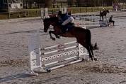 Koldplay D’unartani, 5 ans 