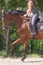 Koldplay D’unartani, 5 ans 