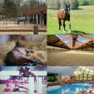 ÉCURIE CBC STABLES