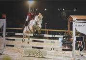 Poney d’As à vendre 