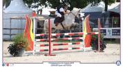 Poney d’As à vendre 