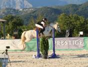 Ponette d’As 2  à vendre 
