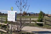 Vente Maison d'hôtes et gîte équestre en Provence