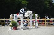 CHEVAL HYPER POLYVALANT 