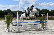 CHEVAL HYPER POLYVALANT 
