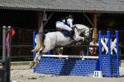 CHEVAL HYPER POLYVALANT 