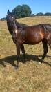 SF de 3 ans par  VICTORHUGO BOISMARGOT