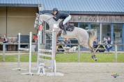 Jument de sport SF 10 ans