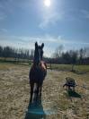 ruin te koop